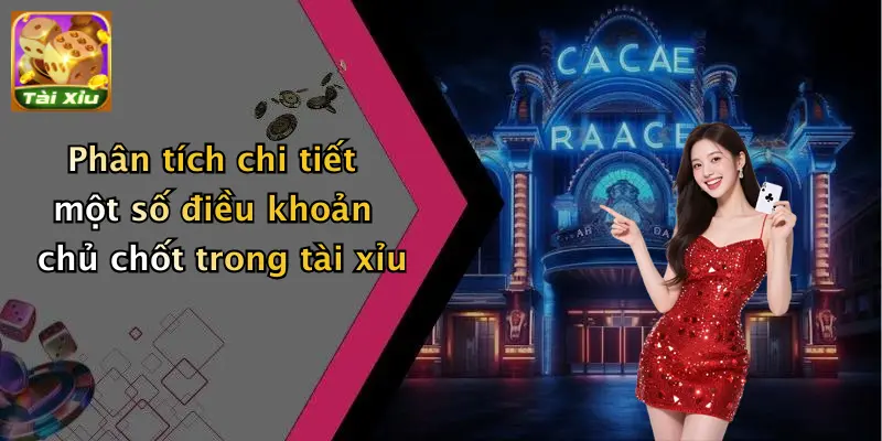 Điều khoản điều kiện 3 Phân tích chi tiết một số điều khoản chủ chốt trong tài xỉu
