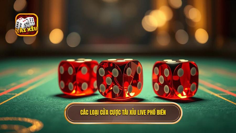 Các loại cửa cược phổ biến trong Tài xỉu live