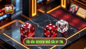 review nhà cái tài xỉu