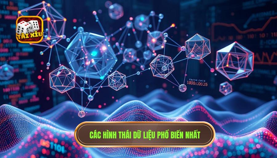 Dữ liệu lịch sử có giúp dự đoán không? Phân tích chuyên sâu từ góc nhìn xác suất 2 2. Các hình thái dữ liệu phổ biến nhất