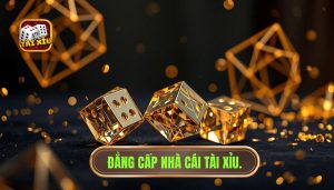 Những sự thật thú vị về tài xỉu: Từ trò chơi dân gian đến "ông vua" sòng bài trực tuyến