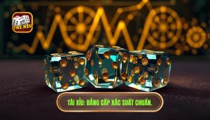 Xác suất trong tài xỉu là gì? Phân tích chuyên sâu từ góc nhìn chuyên gia